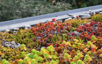 the cost of Three Fingers green roof installation