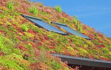 Three Fingers living roof systems