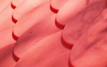 Three Fingers plastic roof costs