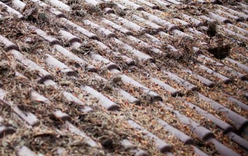 Three Fingers roof cleaning companies