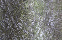 Three Fingers fibreglass roof work